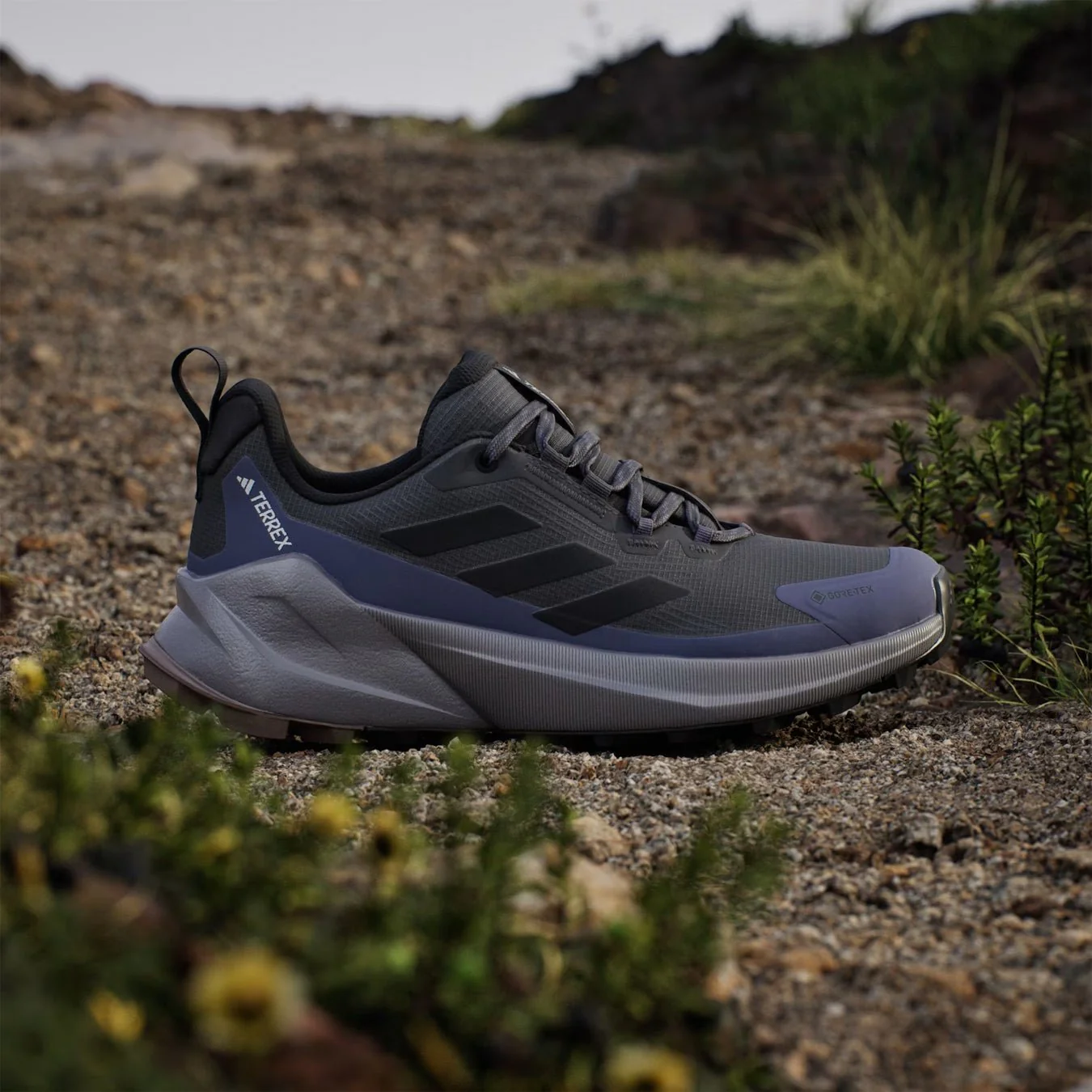 Adidas Terrex Womens Trailmaker 2.0 GORE-TEX Hiking Shoes Carbon / Core Black / Preloved Violet - Image 2