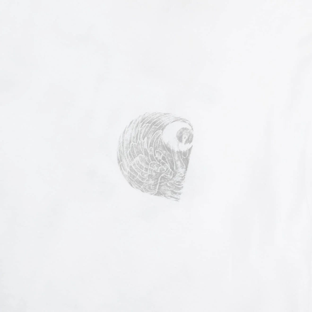 Carhartt WIP Womens S/S Okniceok T-Shirt White - Image 3
