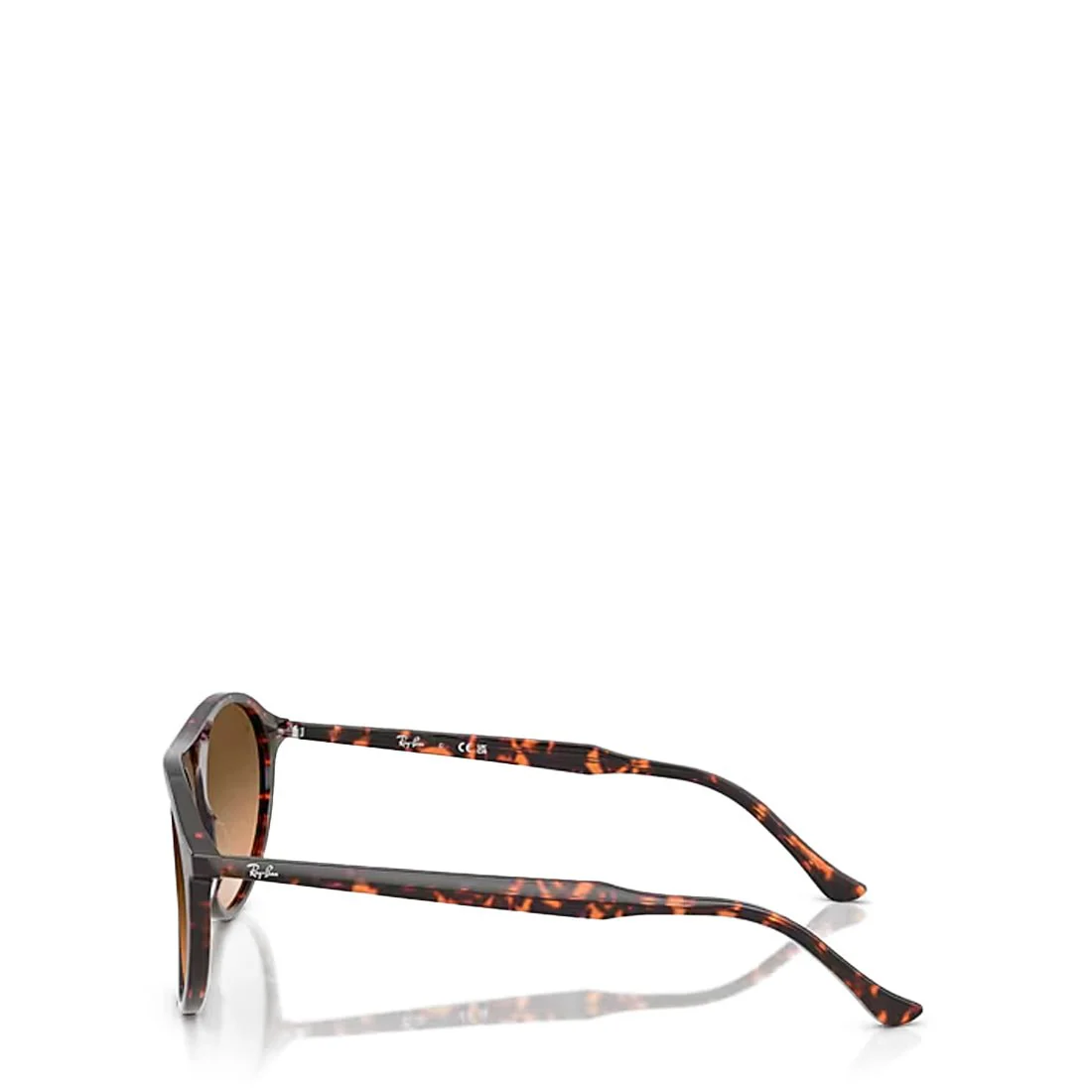 Ray-Ban RB2215 14293B 59 Sunglasess Polished Havana / Red Tortoiseshell - Image 3
